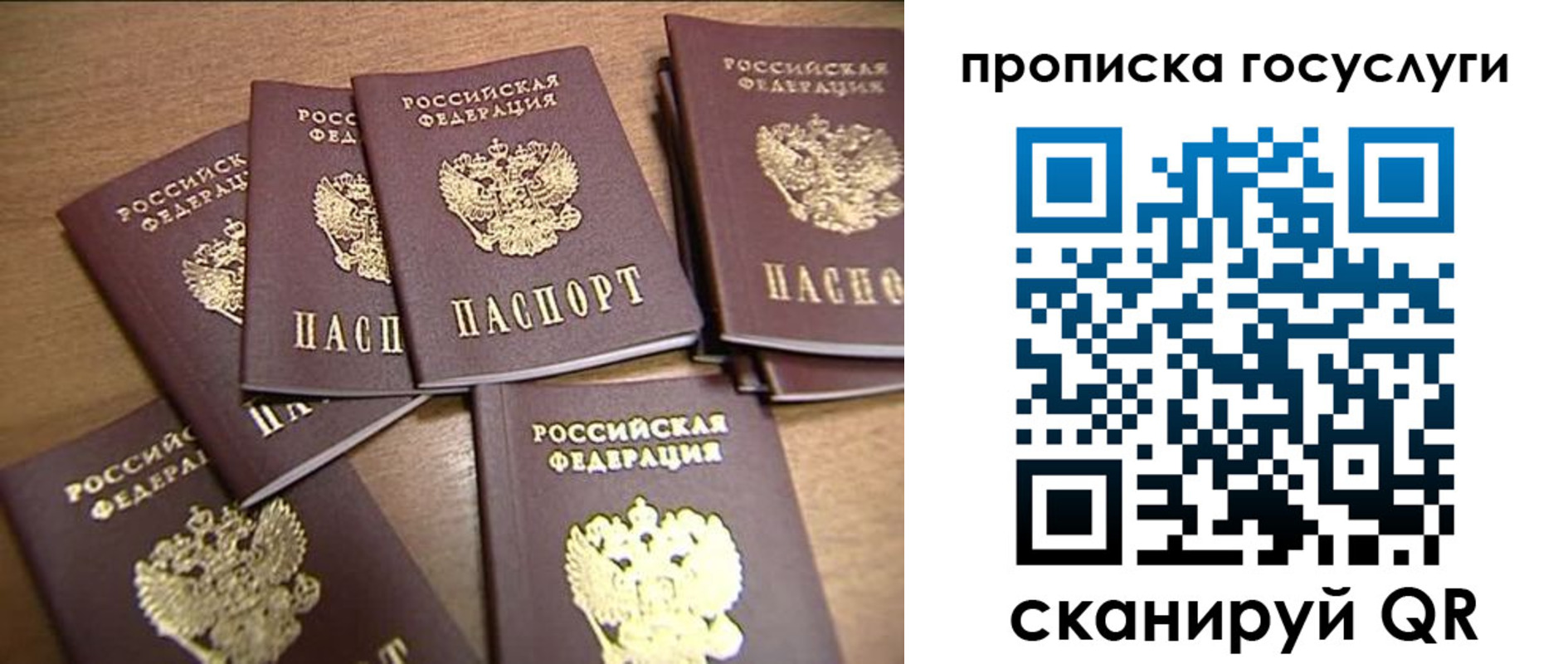 прописка ребенка в Шимановске